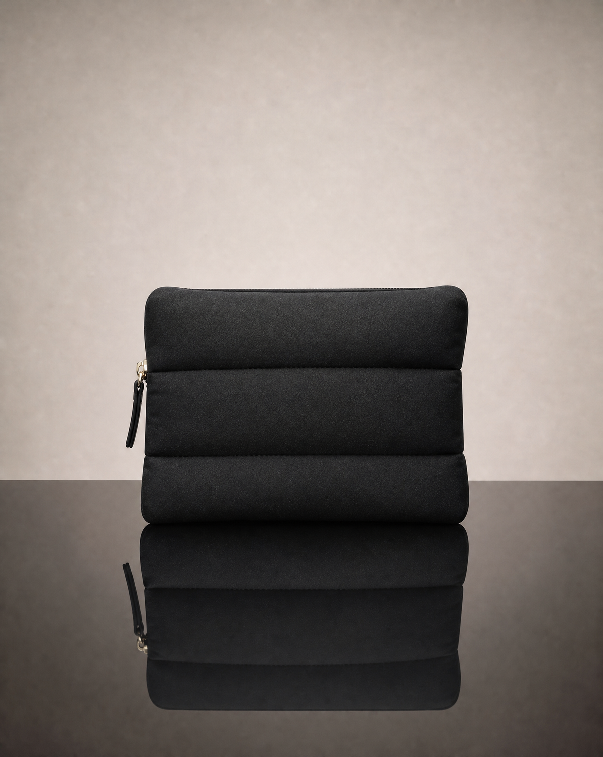 Day Ride, Padded Zipper Bag